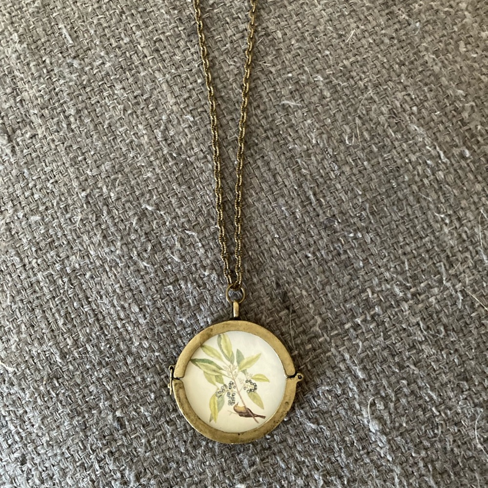Francesca’s | Antique style style distressed gold toned floating locket